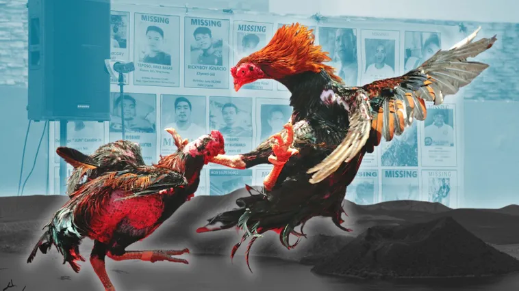 Chinh Phục Đá Gà Sabong Tại GGWIN Bí Quyết Từ Trường Gà