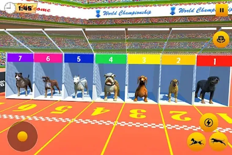 Bứt Tốc Về Đích Cùng Game Đua Chó GGWIN Với Bí Quyết Cược Đỉnh