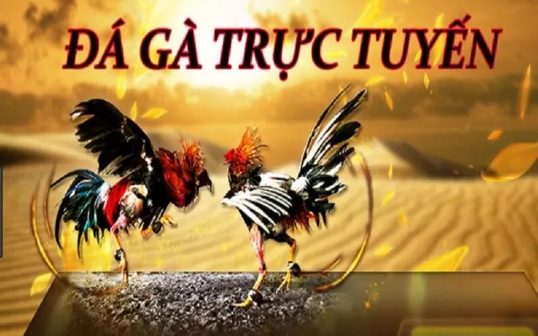 Đá Gà GGWIN Đỉnh Cao Trải Nghiệm Cá Cược Bùng Nổ Uy Tín
