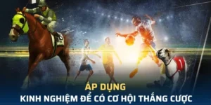 Bùng Nổ Cảm Xúc Với Cá Cược Thể Thao Ảo GGWIN Cực Hấp Dẫn